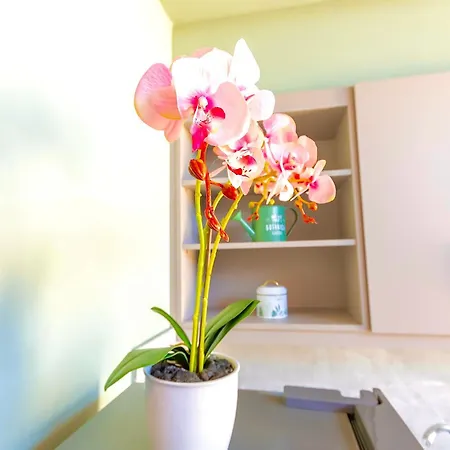 House Of Nileides Gargalianoi