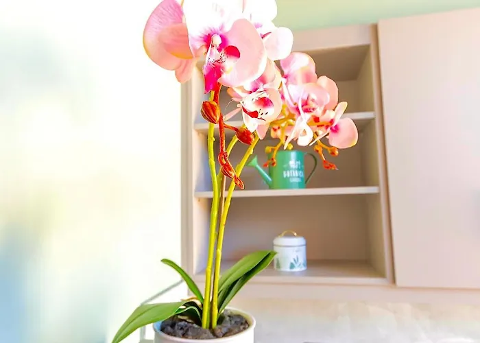 House Of Nileides Gargalianoi